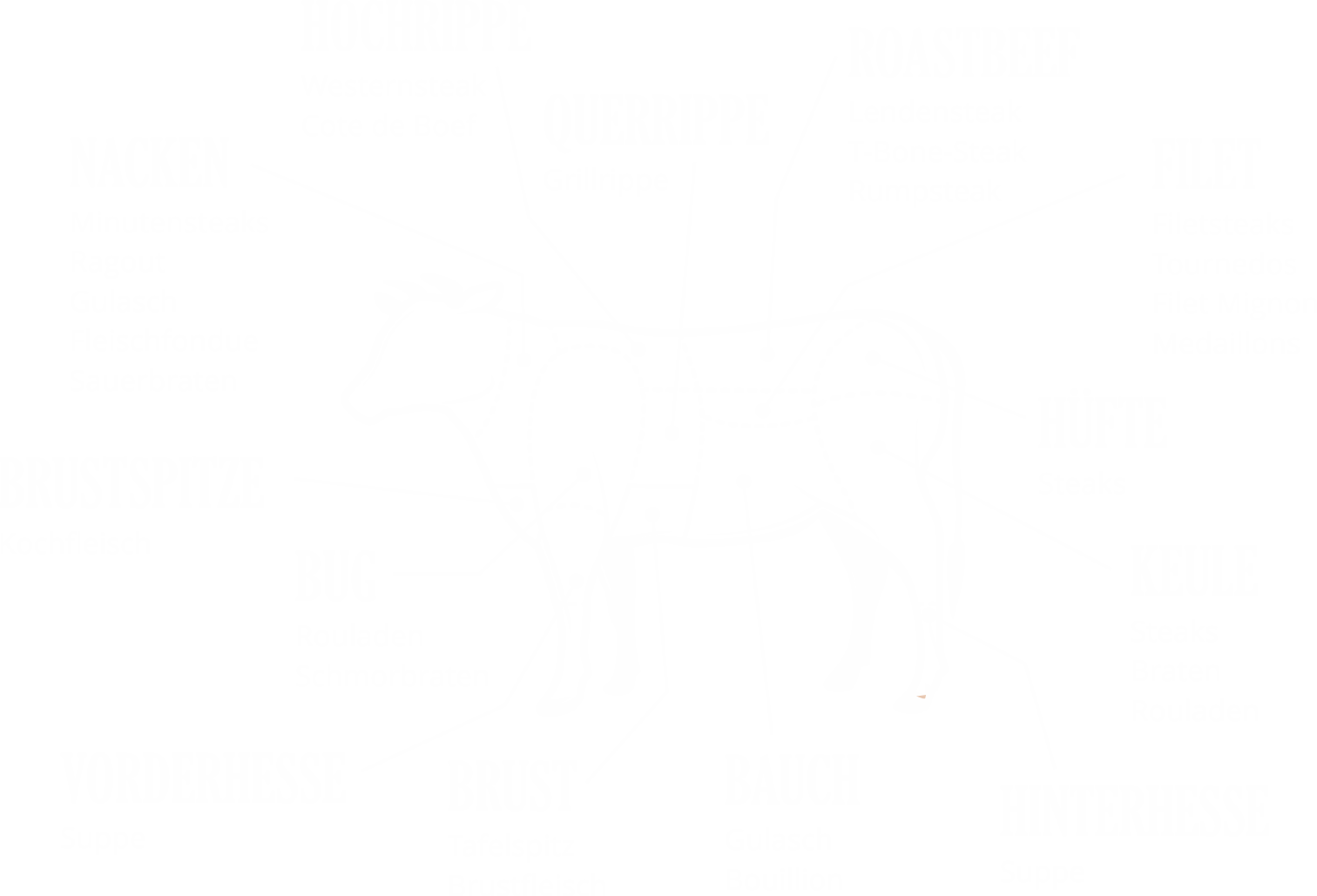Teilstücke des Rindfleischs